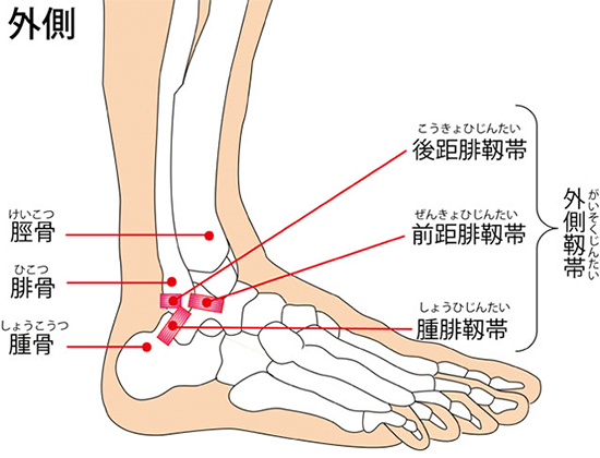 の 外側 痛い 足首 が