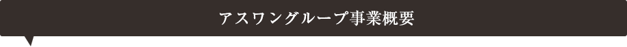 アスワングループ事業概要